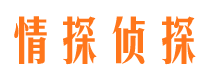 津市出轨调查